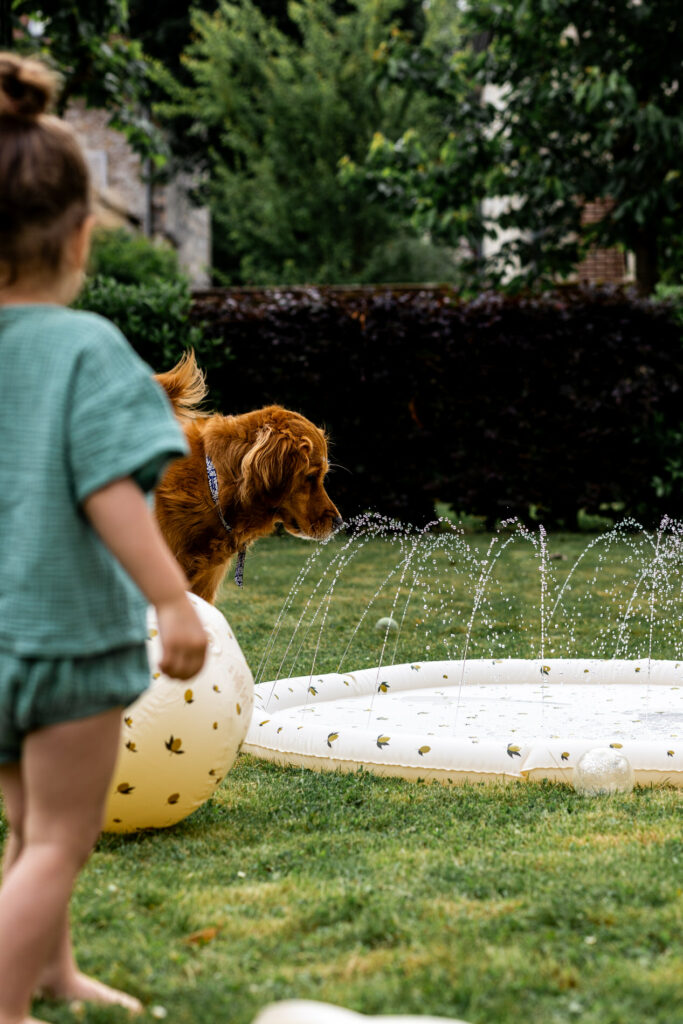 photo produit pour boutique mome fontainebleau reportage pour les professionnels