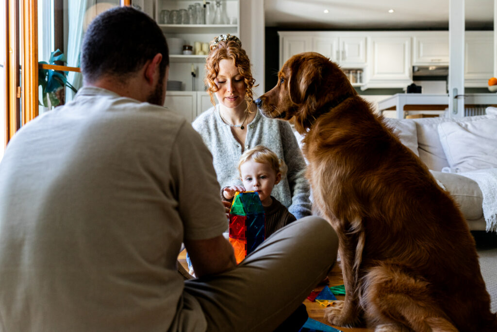 photo de famille avec un papa une maman un petit garcon et un chien en train de jouer dans le salon avec camille piovesan pour vos seances photo famille a fontainebleau